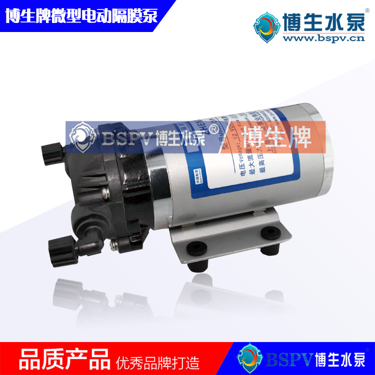 DP-60型24V電動(dòng)隔膜泵